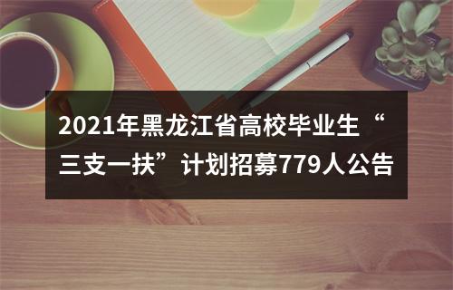 2021年黑龙江省高校毕业生“三支一扶”计划招募779人公告 图片