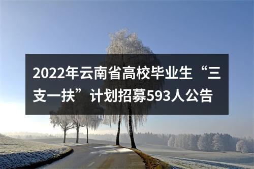 2022年云南省高校毕业生“三支一扶”计划招募593人公告 图片