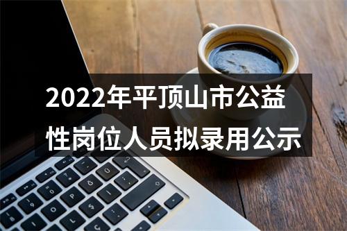 2022年平顶山市公益性岗位人员拟录用公示 图片