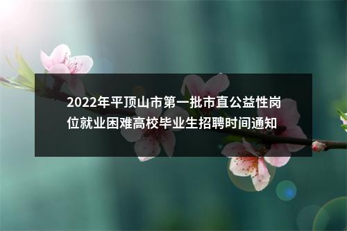 2022年平顶山市第一批市直公益性岗位就业困难高校毕业生招聘时间通知 图片