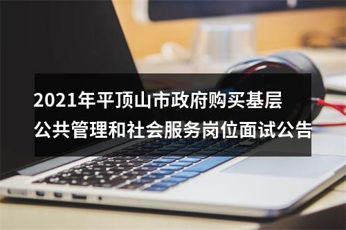 2021年平顶山市政府购买基层公共管理和社会服务岗位面试公告 图片