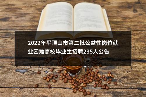 2022年平顶山市第二批公益性岗位就业困难高校毕业生招聘235人公告 图片