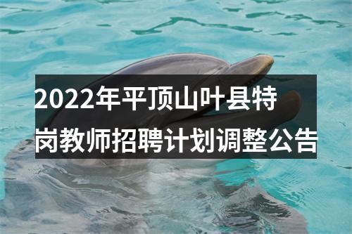 2022年平顶山叶县特岗教师招聘计划调整公告 图片
