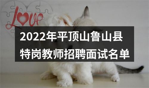 2022年平顶山鲁山县特岗教师招聘面试名单 图片