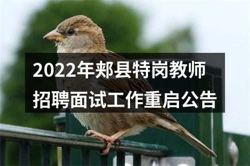 2022年郏县特岗教师招聘面试工作重启公告 图片