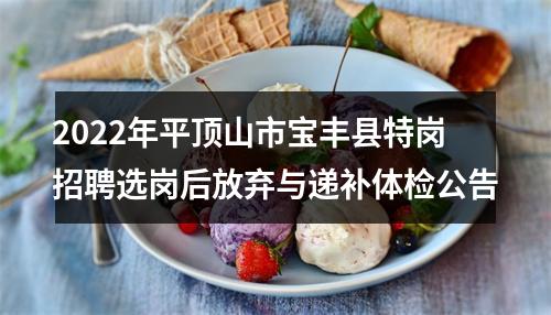 2022年平顶山市宝丰县特岗招聘选岗后放弃与递补体检公告 图片