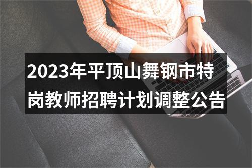 2023年平顶山舞钢市特岗教师招聘计划调整公告 图片