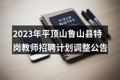 2023年平顶山鲁山县特岗教师招聘计划调整公告 图片