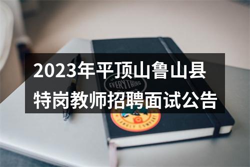 2023年平顶山鲁山县特岗教师招聘面试公告 图片