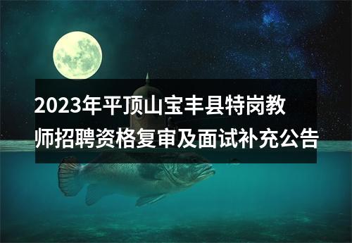 2023年平顶山宝丰县特岗教师招聘资格复审及面试补充公告 图片