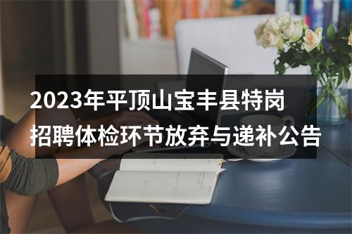 2023年平顶山宝丰县特岗招聘体检环节放弃与递补公告 图片