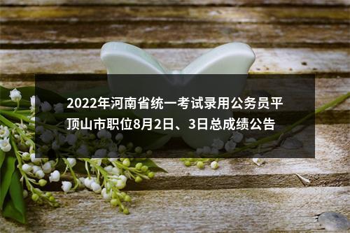 2022年河南省统一考试录用公务员平顶山市职位8月2日、3日总成绩公告 图片