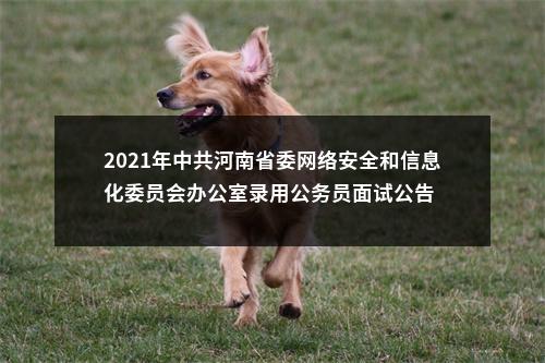 2021年中共河南省委网络安全和信息化委员会办公室录用公务员面试公告 图片