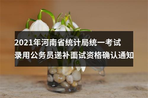2021年河南省统计局统一考试录用公务员递补面试资格确认通知 图片