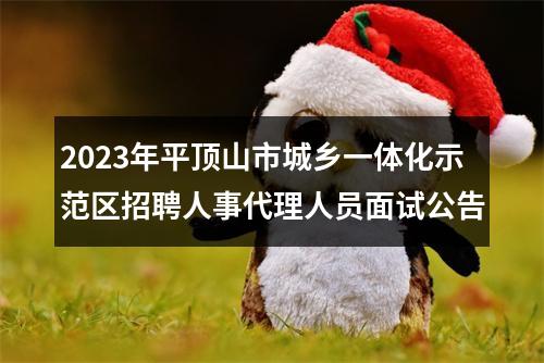 2023年平顶山市城乡一体化示范区招聘人事代理人员面试公告 图片