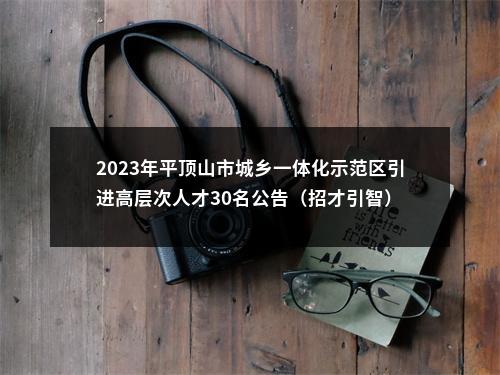 2023年平顶山市城乡一体化示范区引进高层次人才30名公告（招才引智） 图片