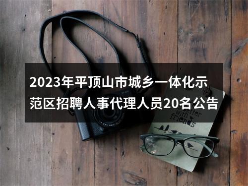 2023年平顶山市城乡一体化示范区招聘人事代理人员20名公告 图片