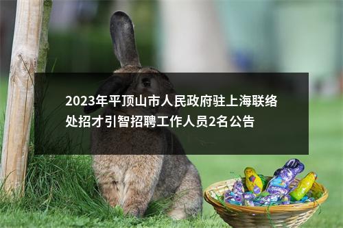 2023年平顶山市人民政府驻上海联络处招才引智招聘工作人员2名公告 图片