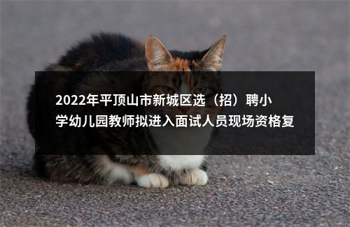 2022年平顶山市新城区选（招）聘小学幼儿园教师拟进入面试人员现场资格复审公告 图片