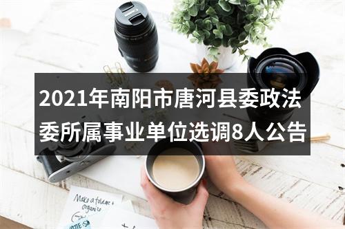 2021年南阳市唐河县委政法委所属事业单位选调8人公告 图片